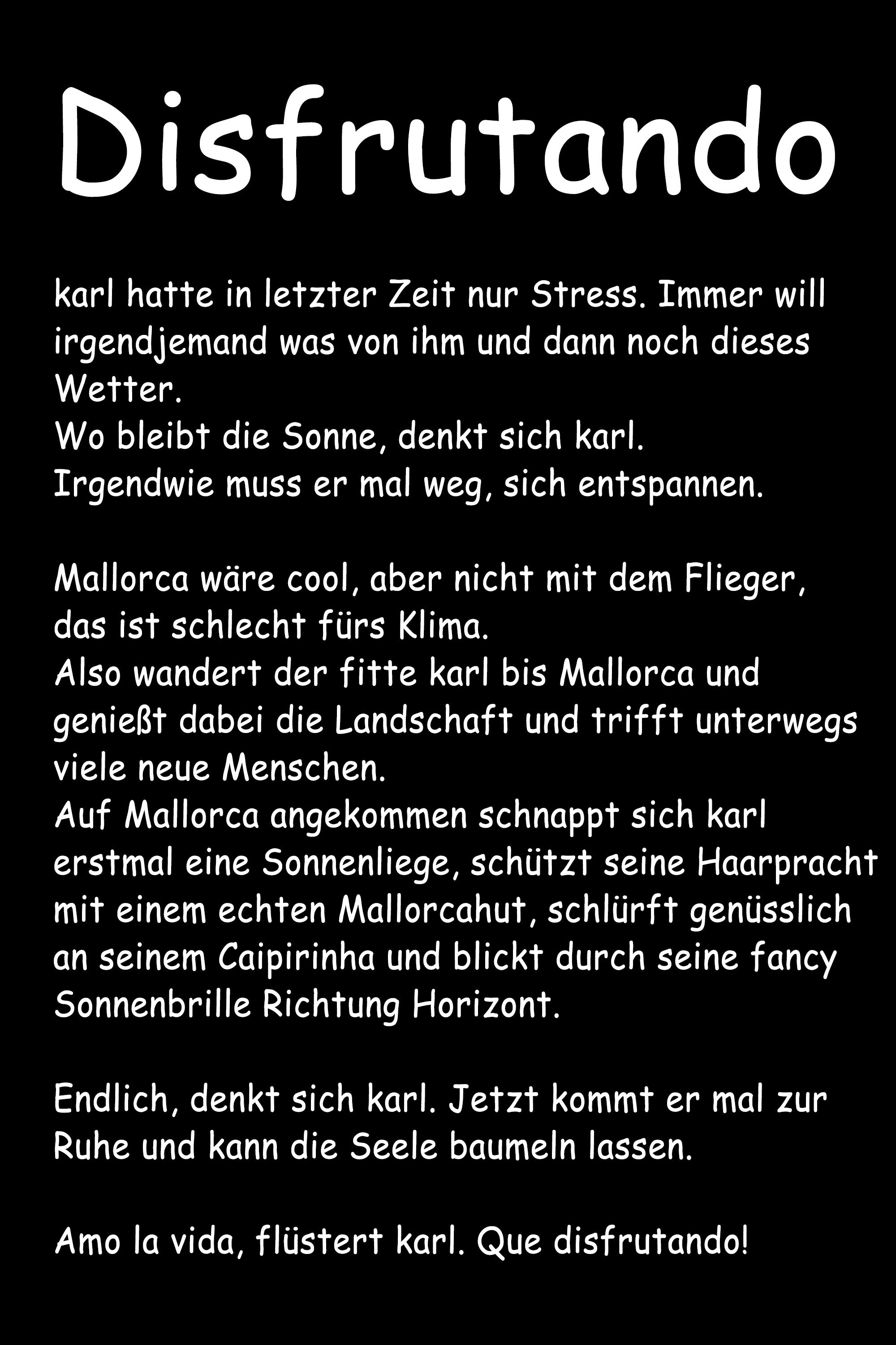 DISFRUTANDO vol. 2 - Damen T-Shirt oversized