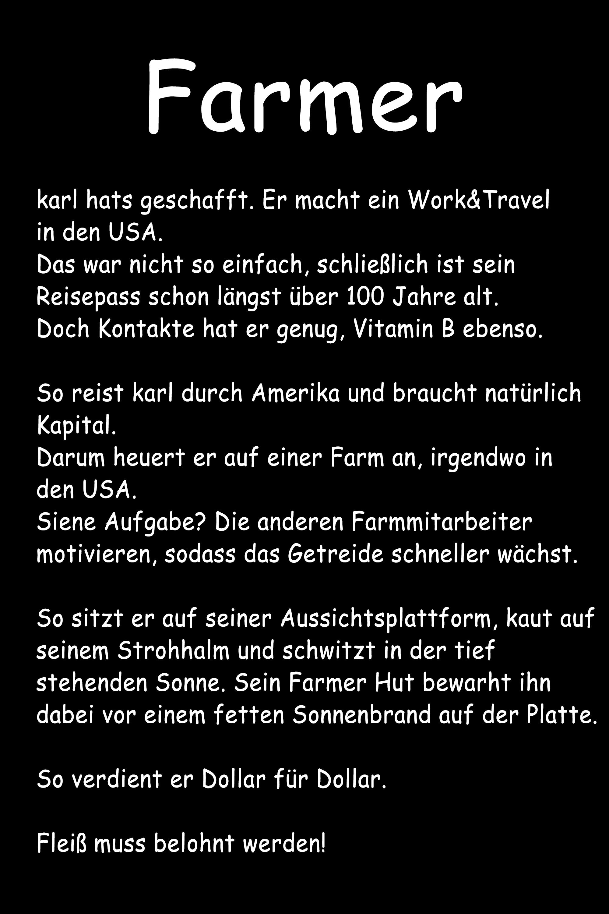 FARMER vol. 2 - Damen T-Shirt oversized